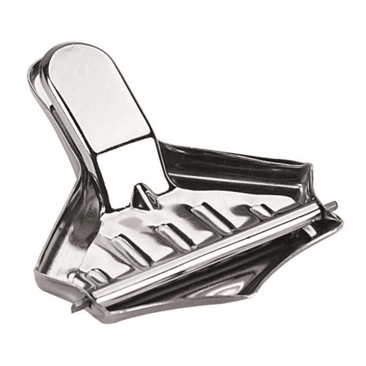 Citroenpersje. Rvs 2 Citroenpersje. Rvs - Afbeelding 2