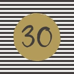 Servetten 30th Birthday 33x33 Cm -Marskramer Verkoop 105 1317 1