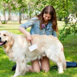 Huisdierenverzorgingsset 3 Delig 11 Huisdierenverzorgingsset 3 Delig -Marskramer Verkoop 180 8145 6 1