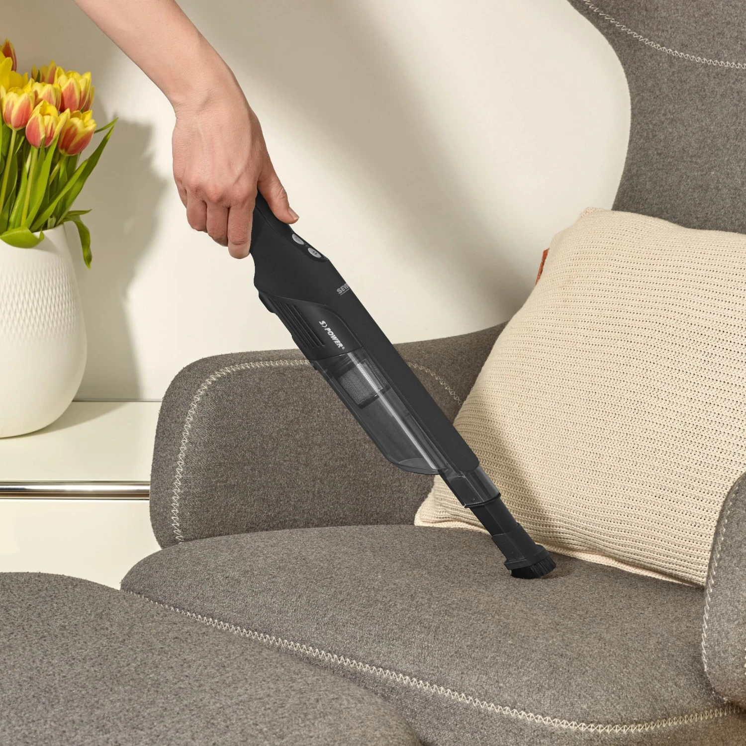 Severin Kruimeldief Hv 9589 6 Severin Kruimeldief Hv 9589 - Afbeelding 6