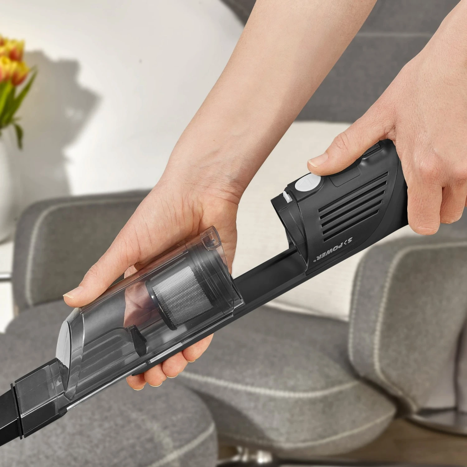 Severin Kruimeldief Hv 9589 9 Severin Kruimeldief Hv 9589 - Afbeelding 9